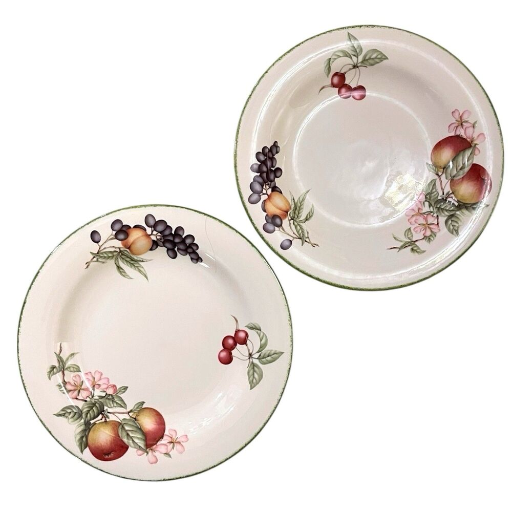 Set of 2 Royal Doulton Country Lane Dinner Plates Expressions Ashberry 10 3/4"